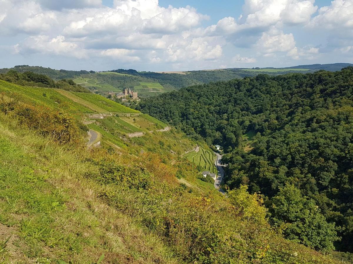 Rhine Pearl Hideaways Διαμέρισμα Oberwesel Εξωτερικό φωτογραφία