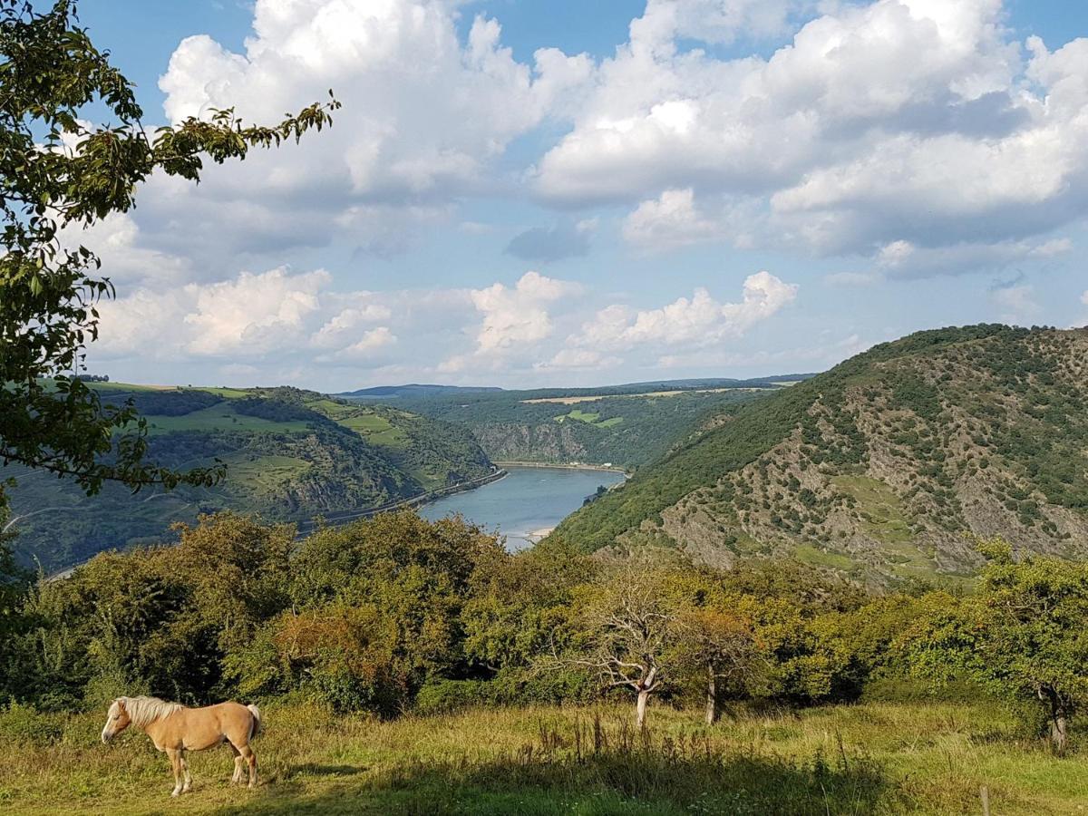 Rhine Pearl Hideaways Διαμέρισμα Oberwesel Εξωτερικό φωτογραφία